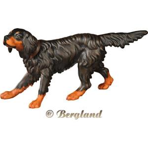 Gordon Setter