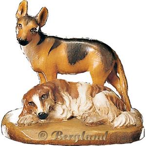 Gruppo cani