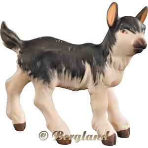 Capretto
