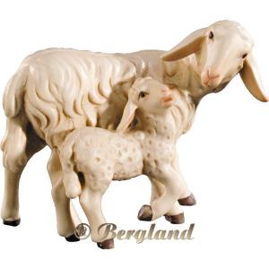 Pecora con agnello
