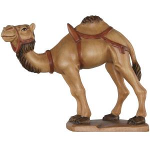 Camel