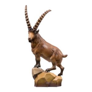 Ibex