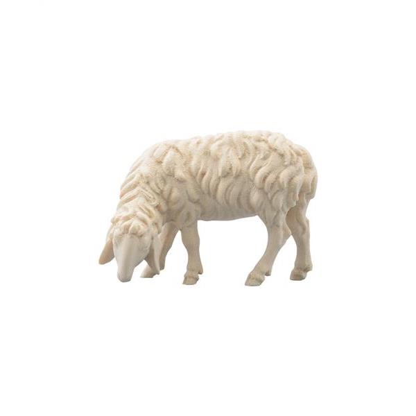 Schaf grasend links - natur