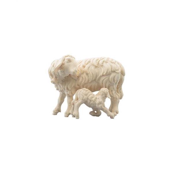 Schaf mit Lamm saugend - natur