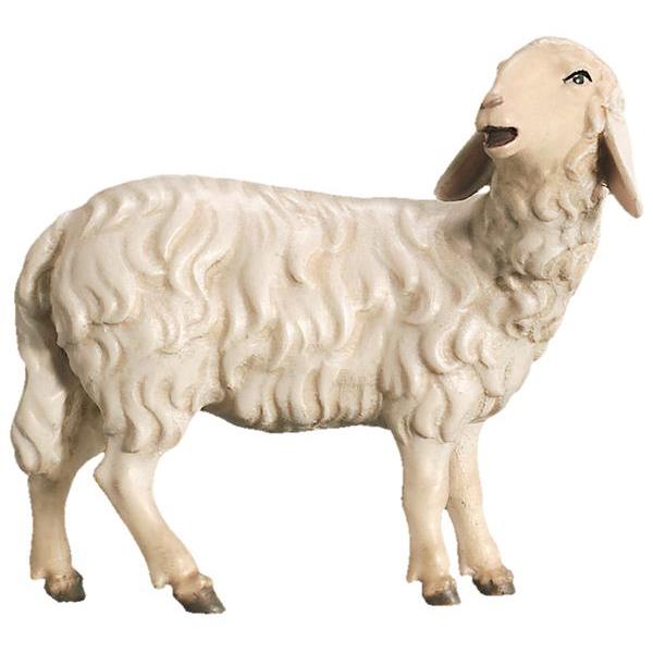 Schaf rechts schauend - lasiert