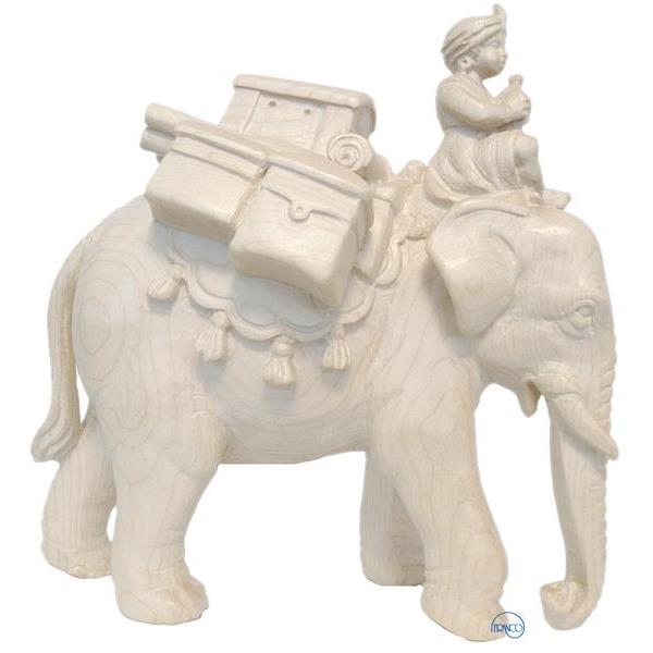 Elefant mit Gepäck und Treiber - natur