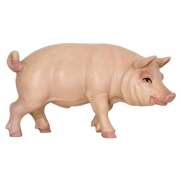 Schwein - natur