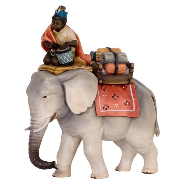Elefant mit Reiter und Gepäck - natur