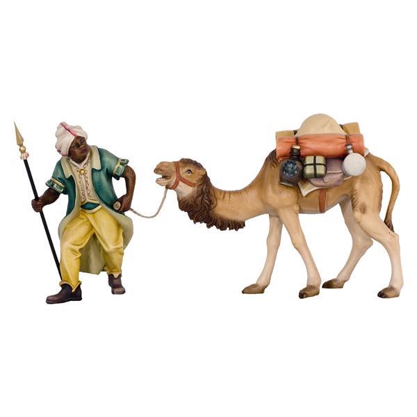 Kamel mit Treiber und Gepäck - natur