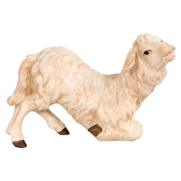 Schaf kniend - natur