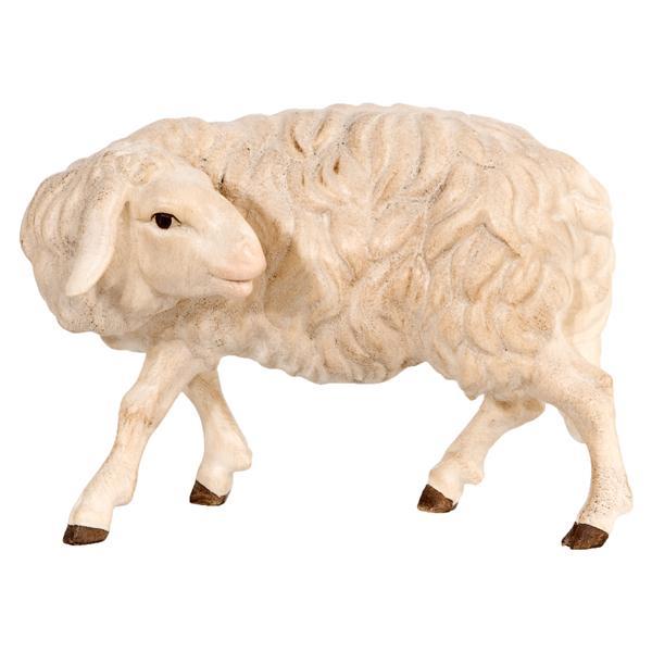 Schaf zurückschauend - natur