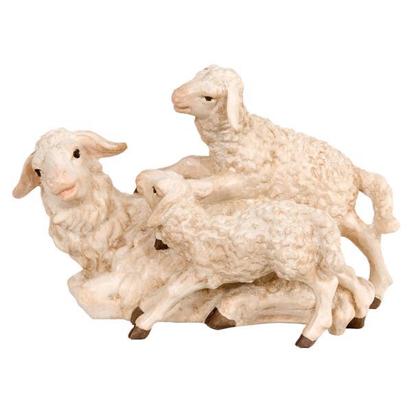 Schaf mit Lämmer - natur