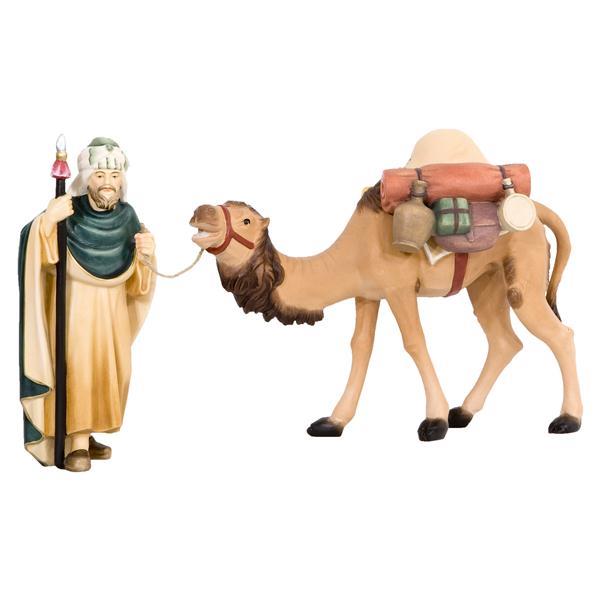 Kamel mit Treiber und Gepäck - natur