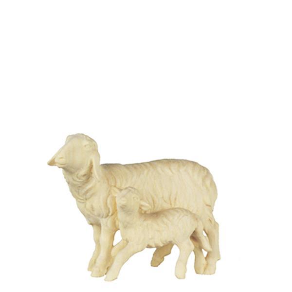 O-Schaf und Lamm stehend - natur