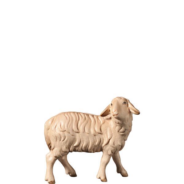 H-Schaf zurückschauend - mehrtoenig gebeizt