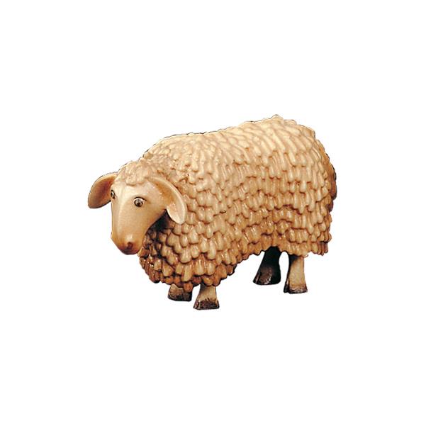 Schaf - lasiert