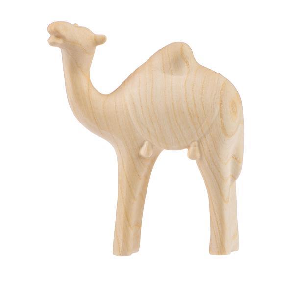 Kamel stehend modern art - natur