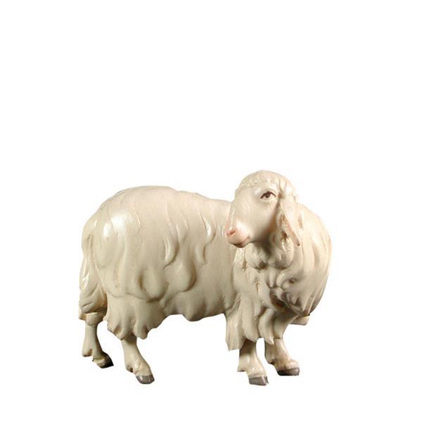 Schaf Rückwerts schauend - lasiert