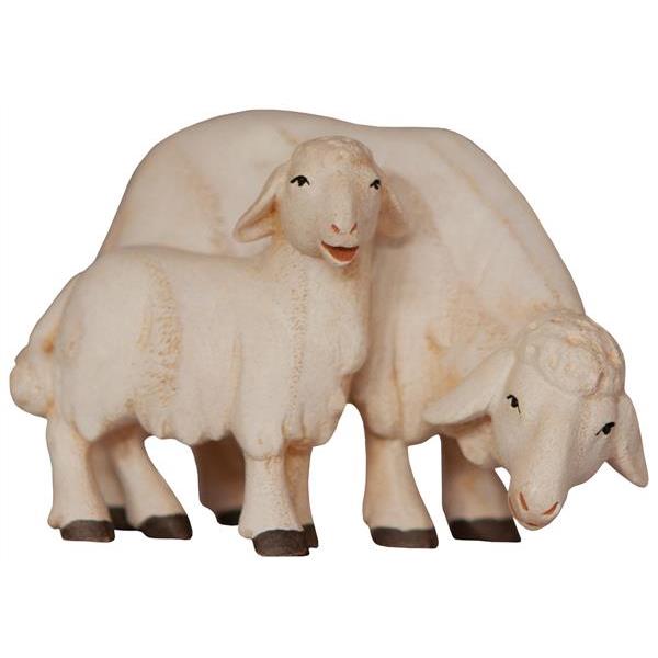Schaf äsend mit Lamm - color