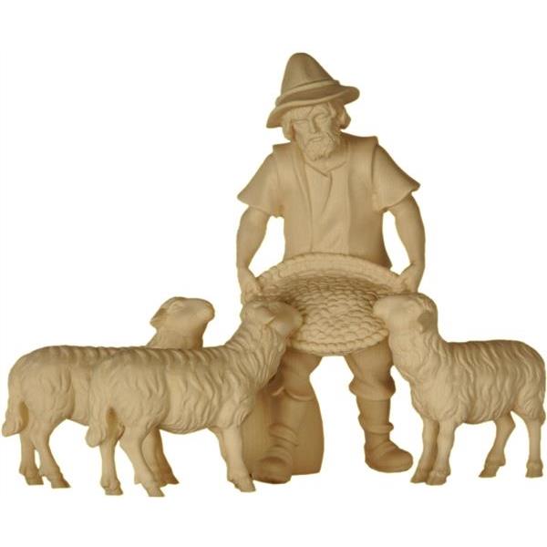 Schaffütterer mit drei Schafen - natur