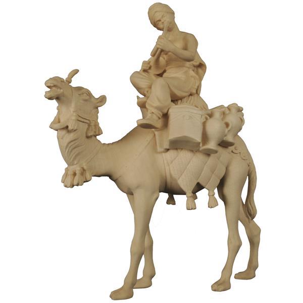 Kamel mit Gepäck und Reiter sitzend - natur