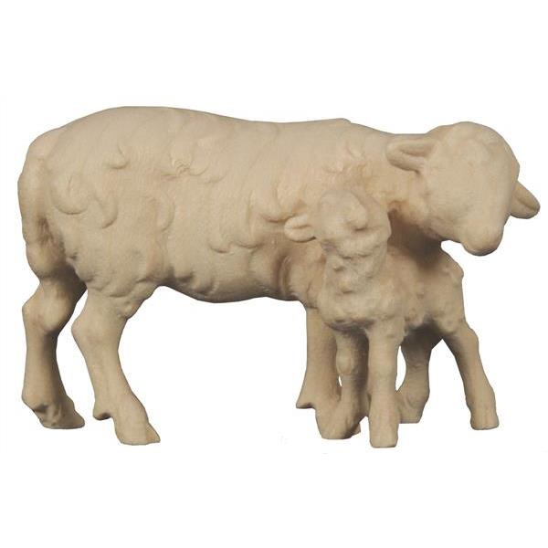 Schaf mit Lamm stehend - natur