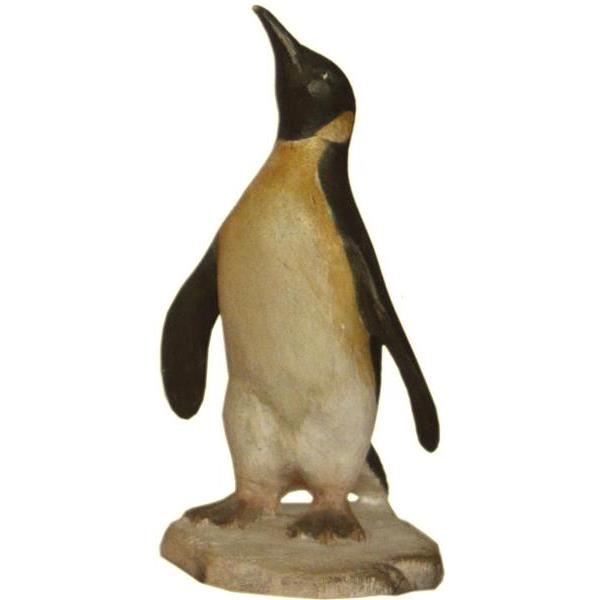 Pinguin - color