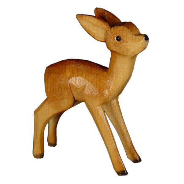 Bambi stehend in Zirbel - color