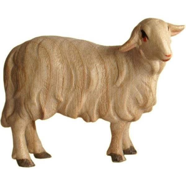 Schaf stehend links - Acquarell