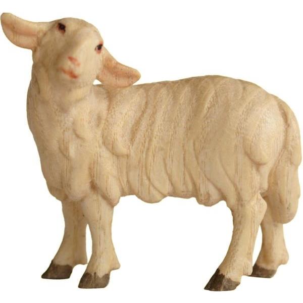 Schaf stehend rechts - Acquarell