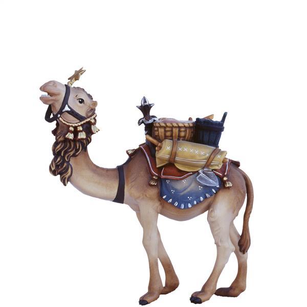 Kamel mit Gepäck - natur