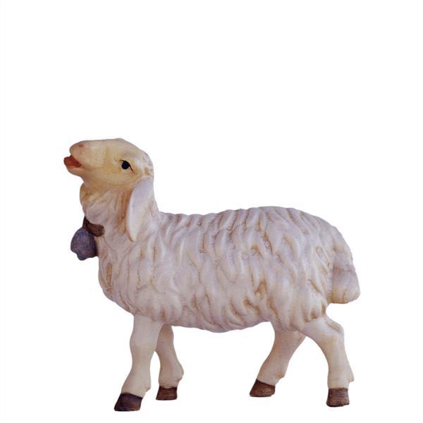Schaf blöckend - natur