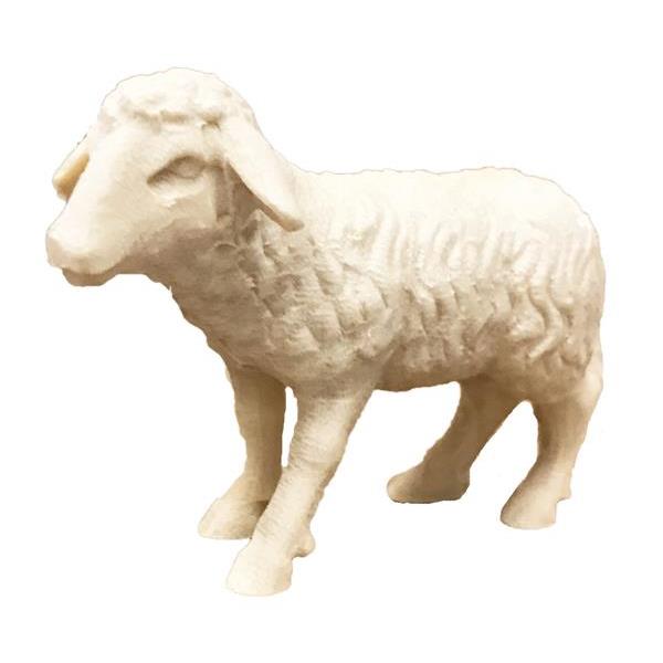 Schaf stehend - natur