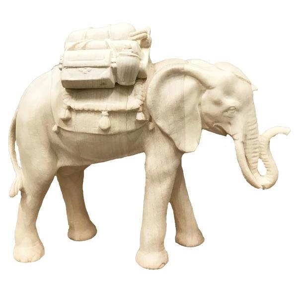 Elefant mit Gepäck - natur