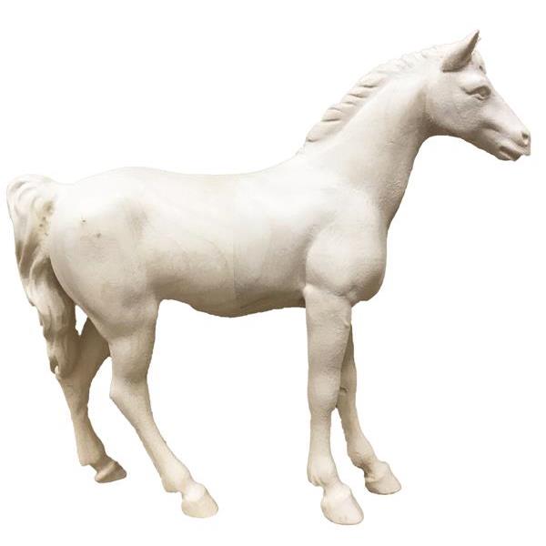 Pferd weiß - natur