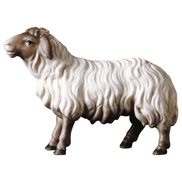 UL Schaf geradeaus schauend Kopf dunkel - color