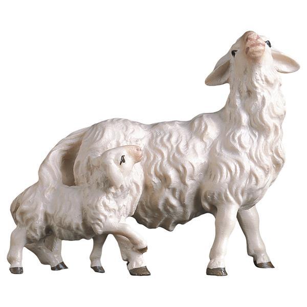 HI Schaf mit Lamm hinten - color