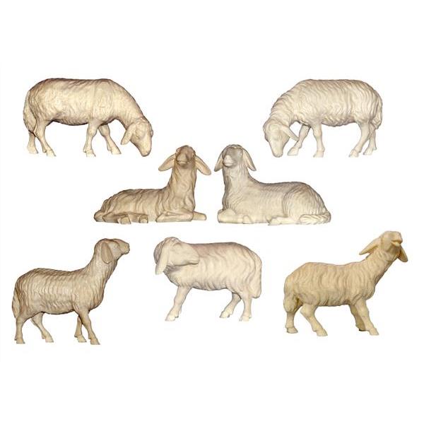 Set 6 Schafe Esche - natur