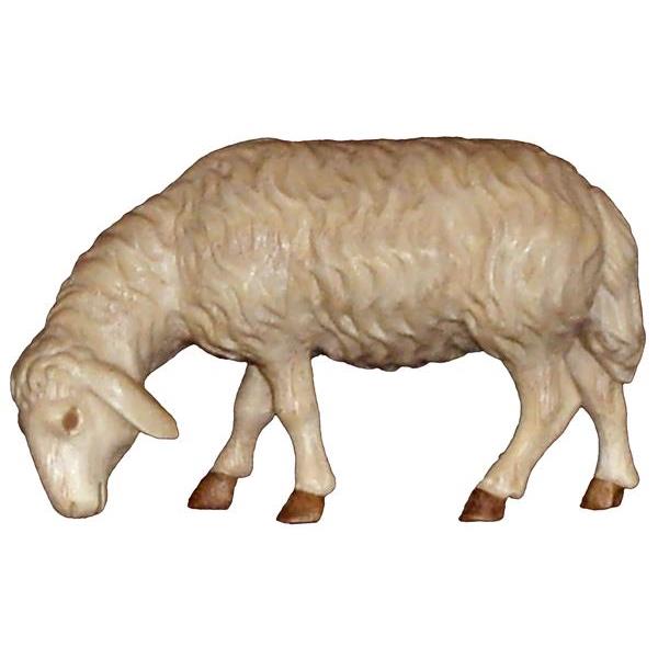 Schaf grasend rechts ESCHE - mehrtoenig gebeizt