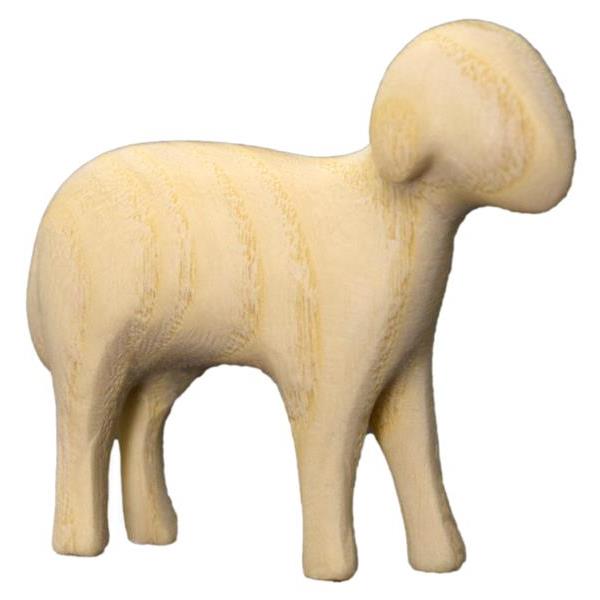 Schaf stehend Aram Esche - natur