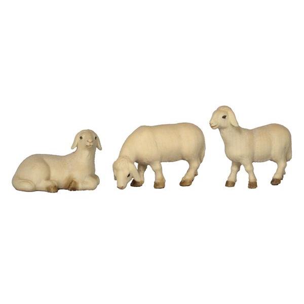 3 Schafe - lasiert