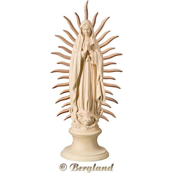 Madonna von Guadalupe - natur
